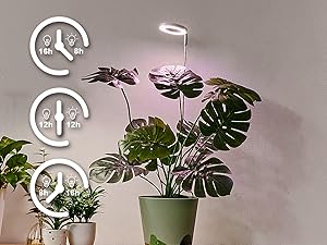 grow light