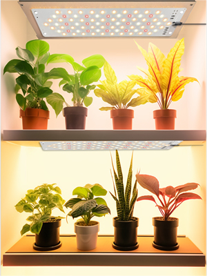 grow lights for indoor plants seed starting