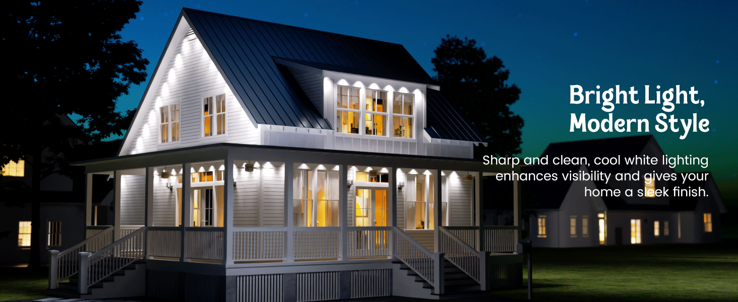 Permanent Outdoor Lights