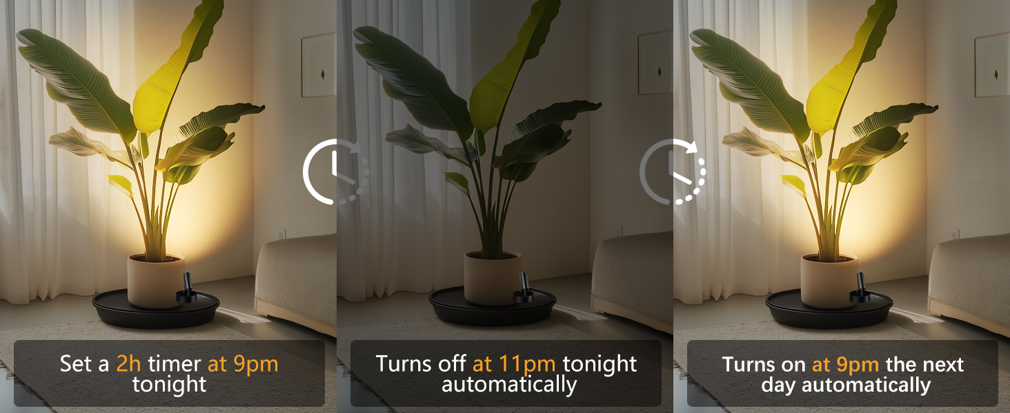 Indoor wall lamps with a timing function are suitable for plant illumination and collection display