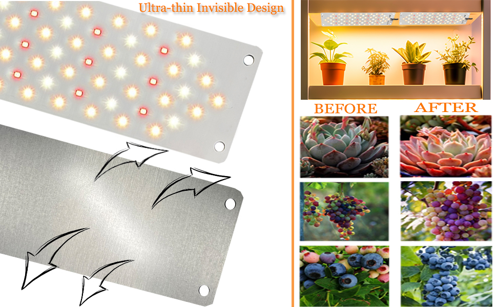 PLANT GROW LIGHTS FOR INDOOR PLANTS
