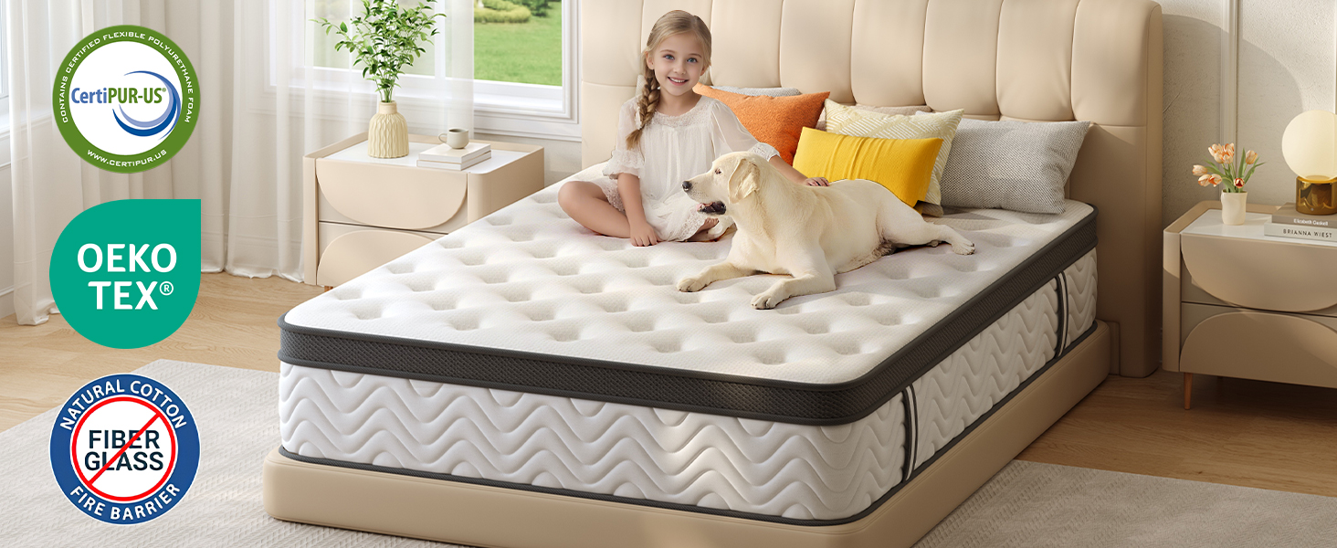 12 inch queen mattress