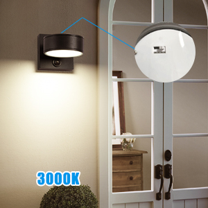 outdoor wall sconce 3000K