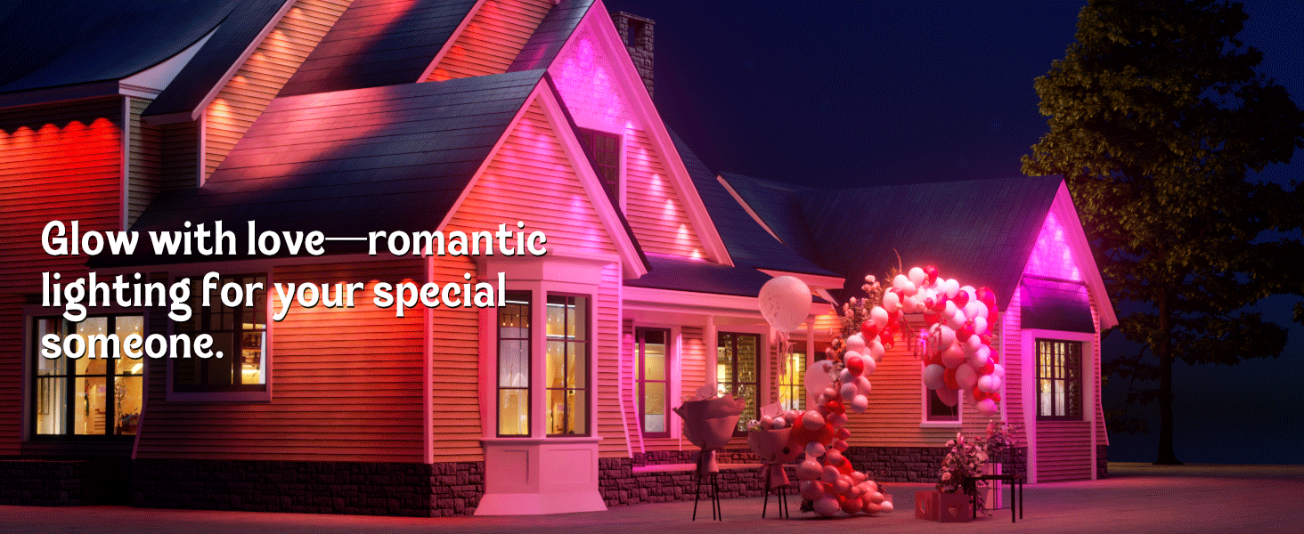 Permanent Outdoor Lights