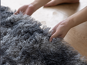 fluffy rug