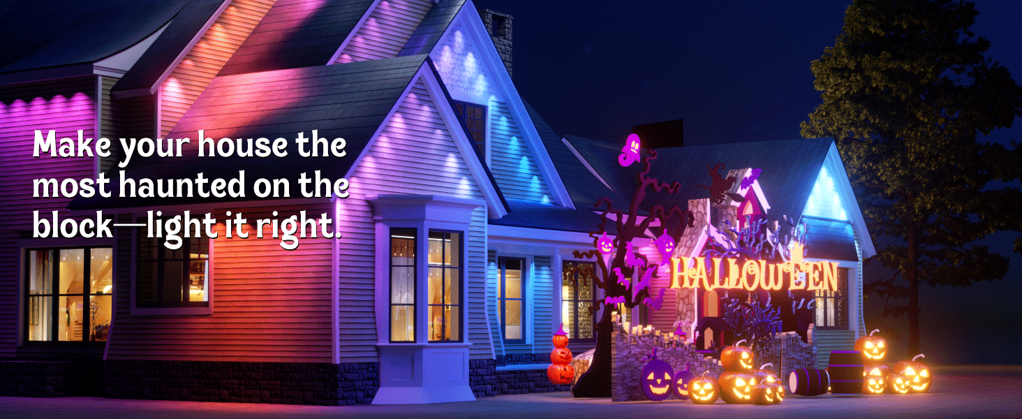 Permanent Outdoor Lights