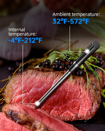 meat thermometer temperature range