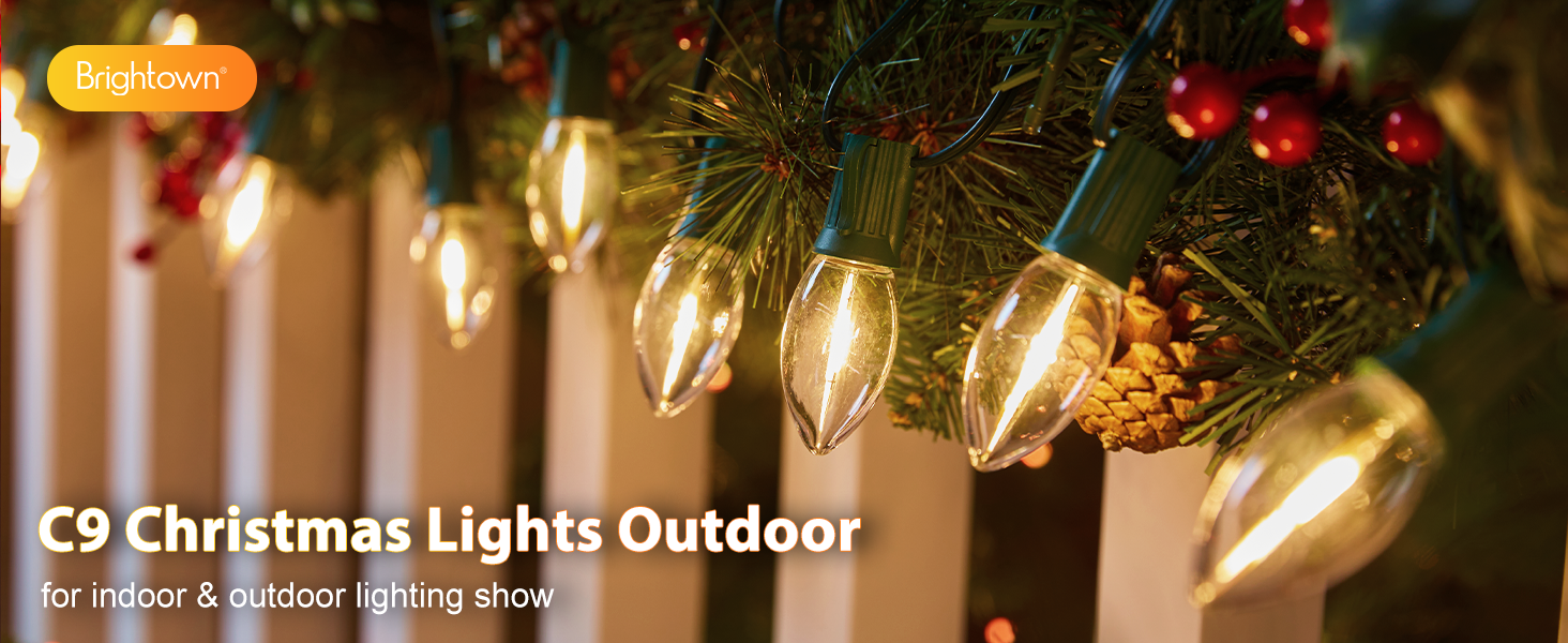 c9 christmas lights outdoor