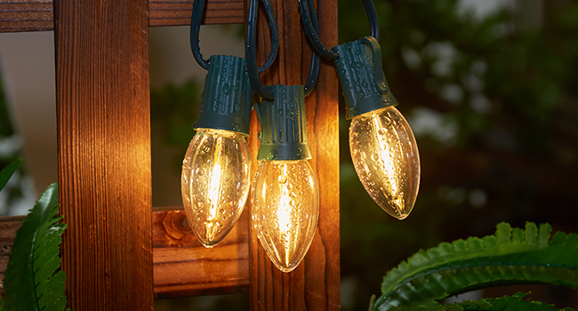 outdoor christmas lights