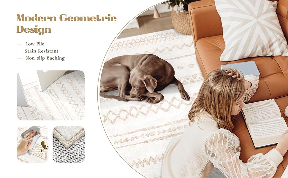 Non-Slip Soft Low Pile Rug