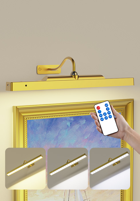 cordless picture light with remote