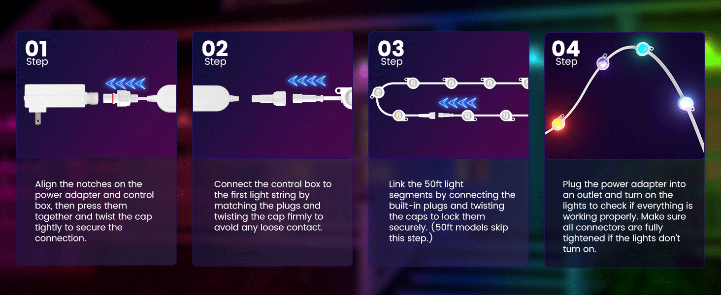 Permanent Outdoor Lights