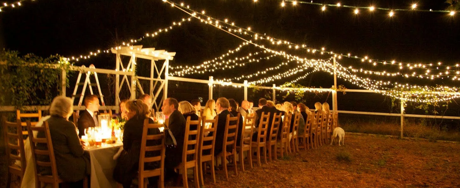 String Lights Indoor Outdoor