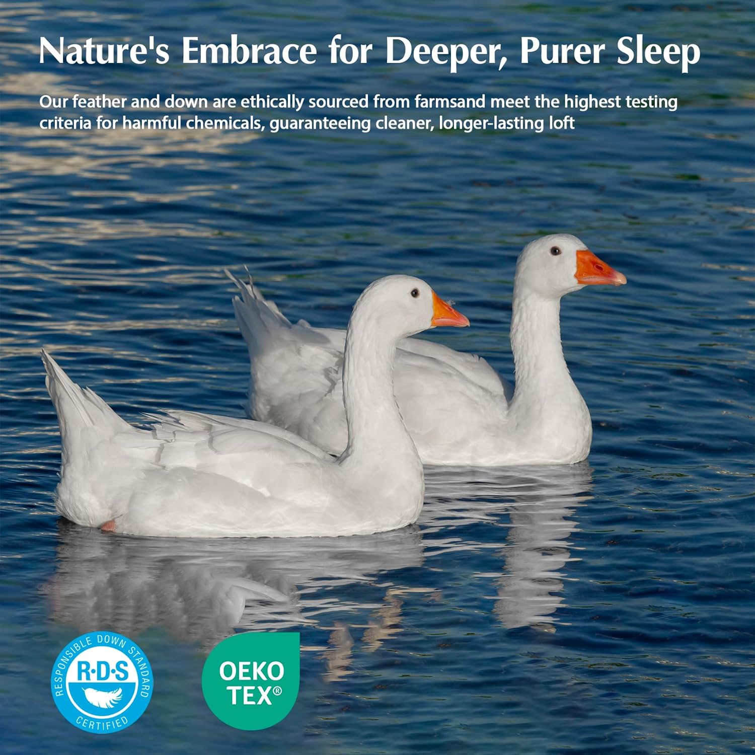 Pacific Coast Goose Feather Down Fiber Comforters Queen Size, Extra Fluffy White Duvet Insert, Ultra-Soft, Breathable, All Season Hotel Luxury Bedding Comforters, 8 Corner & Center Loops (90"x90") - Image 4