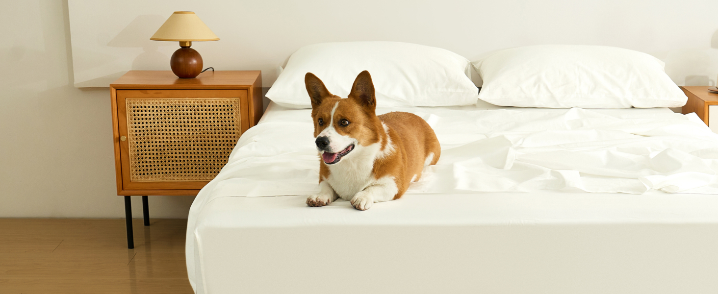 Queen sheet set king bedding set white queen size bed sheet set