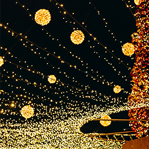 soft white string lights