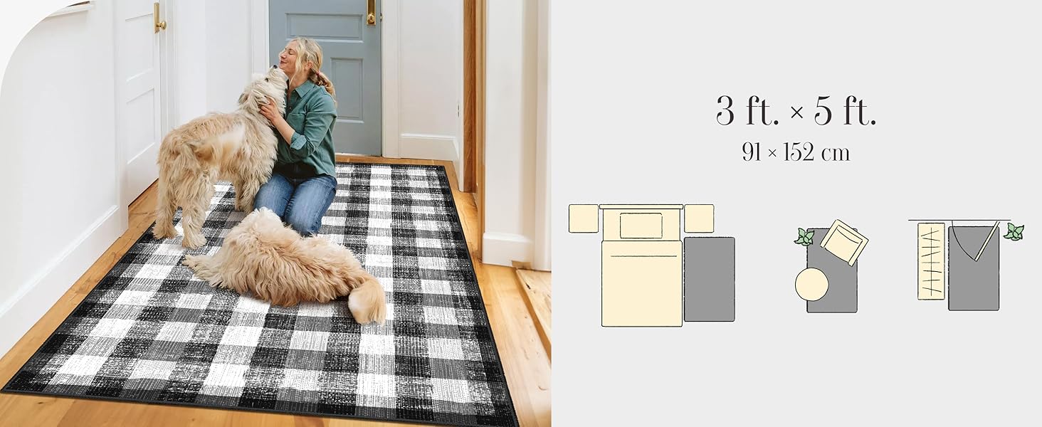 checkered area rugs 3x5