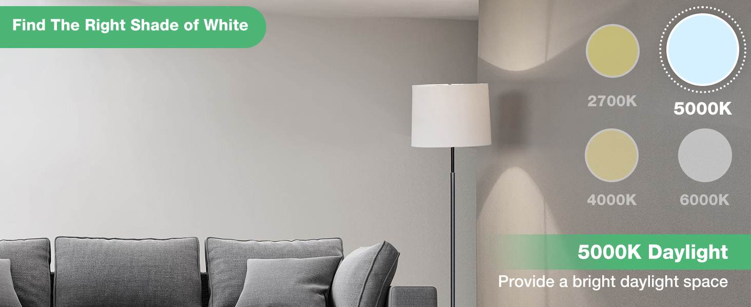 A19 LED Light Bulbs 100w Daylight 5000K cool white Floor Lamp