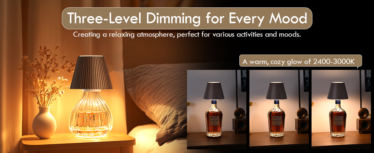 Portable Carry and Use with Built-in Battery