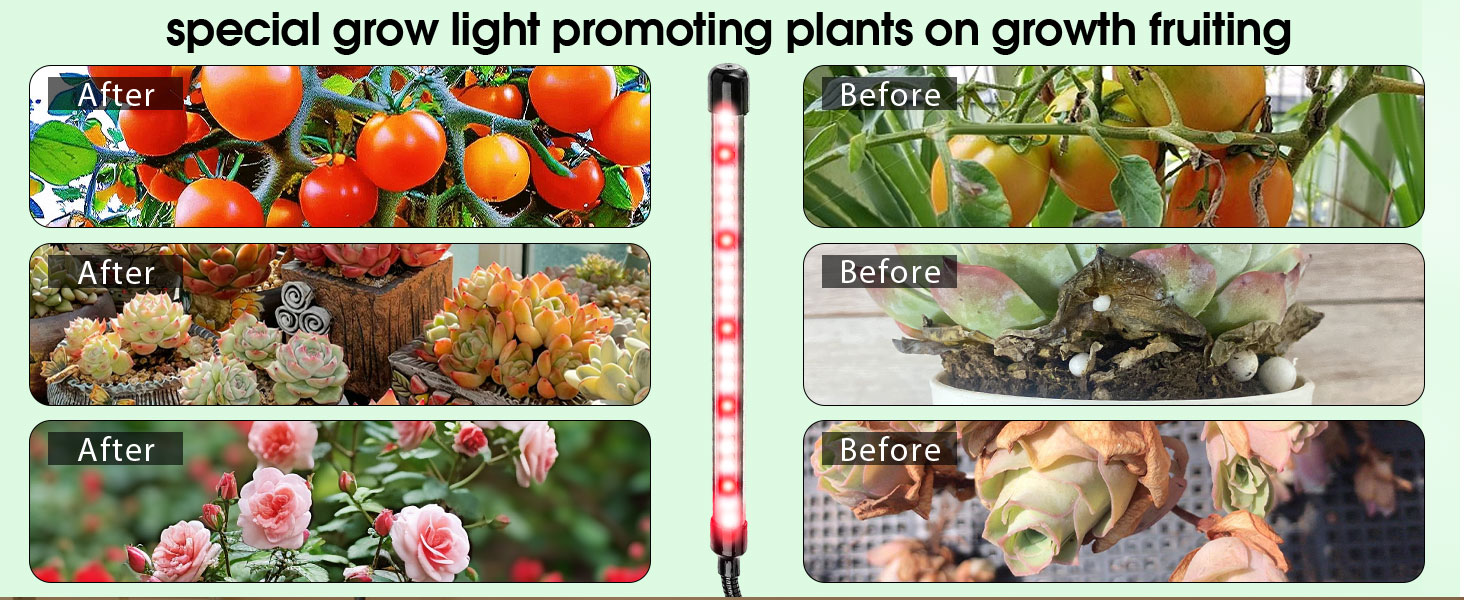 Grow Light