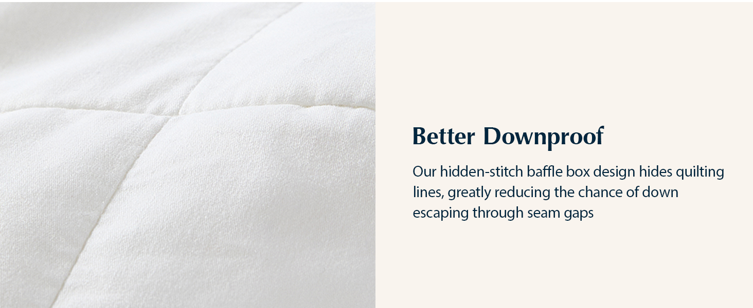 white comforter queen