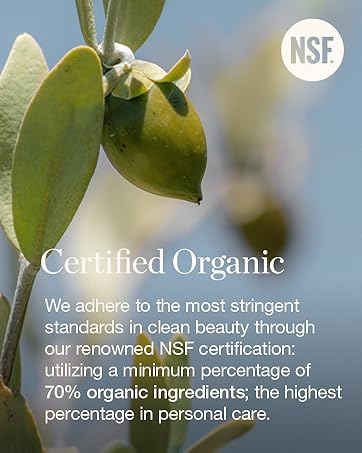 ogee, makeup, brush, concealer, foundation, stick, skincare, skin care