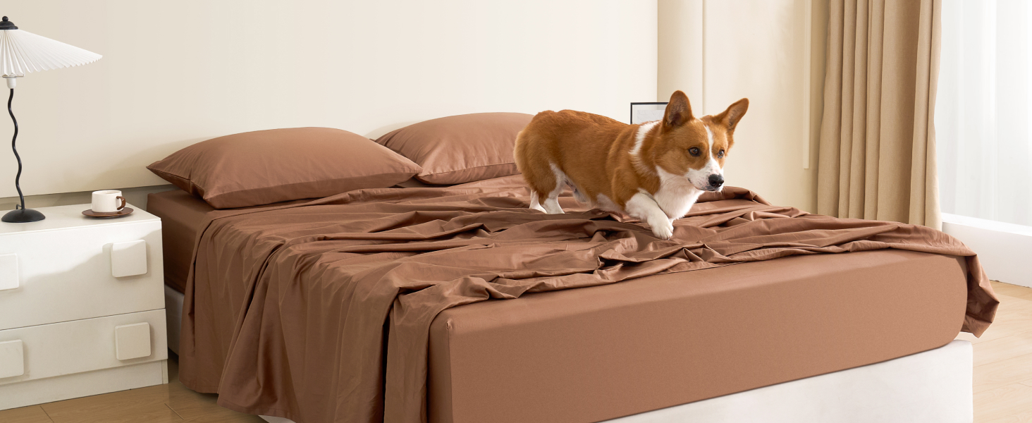 Queen sheet set king bedding set white queen size bed sheet set