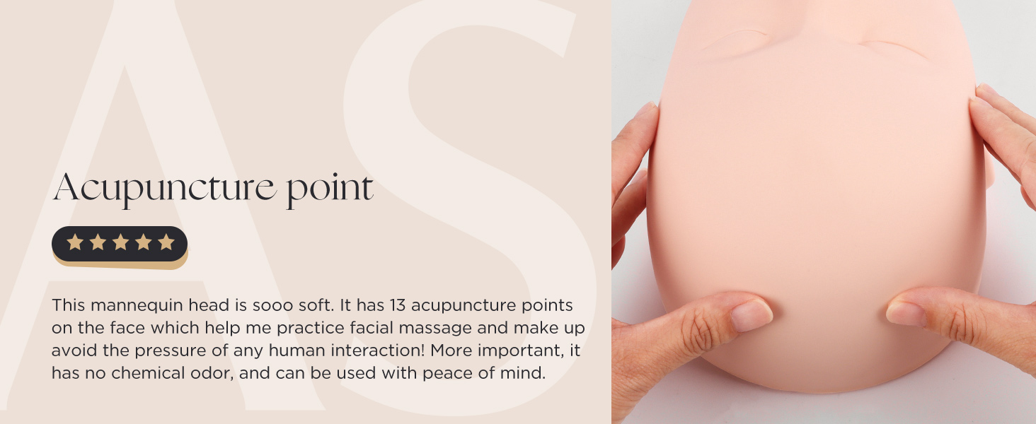 lashview mannequin head