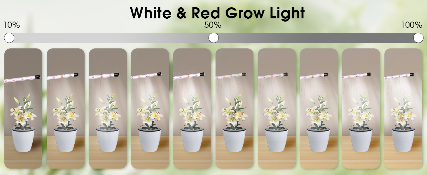 Grow Light