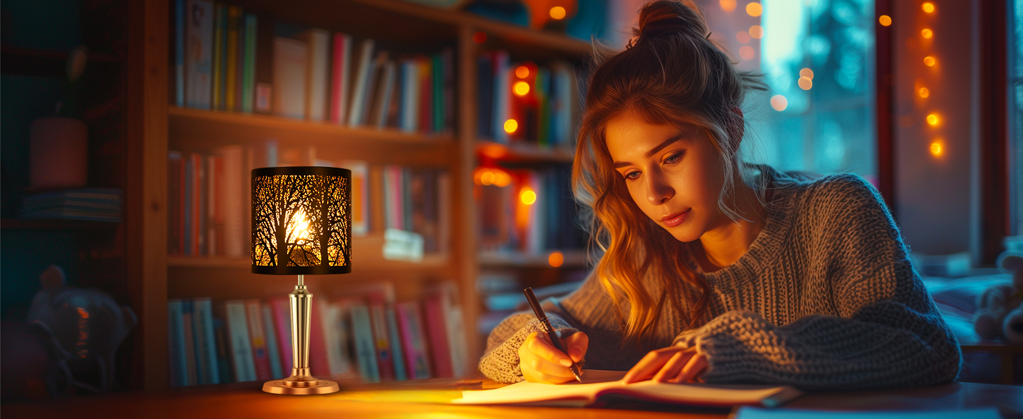 lamp shades clip on bulb