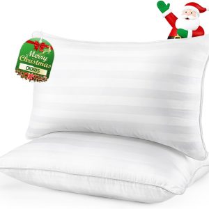 DIORIS Pillows Queen Size Set of 2 - Luxury Hotel Collection Bed Pillows for Sleeping, Supportive Fluffy Down Alternative Microfiber Filled for Back, Stomach Sleepers, Breathable & Skin-Friendly
