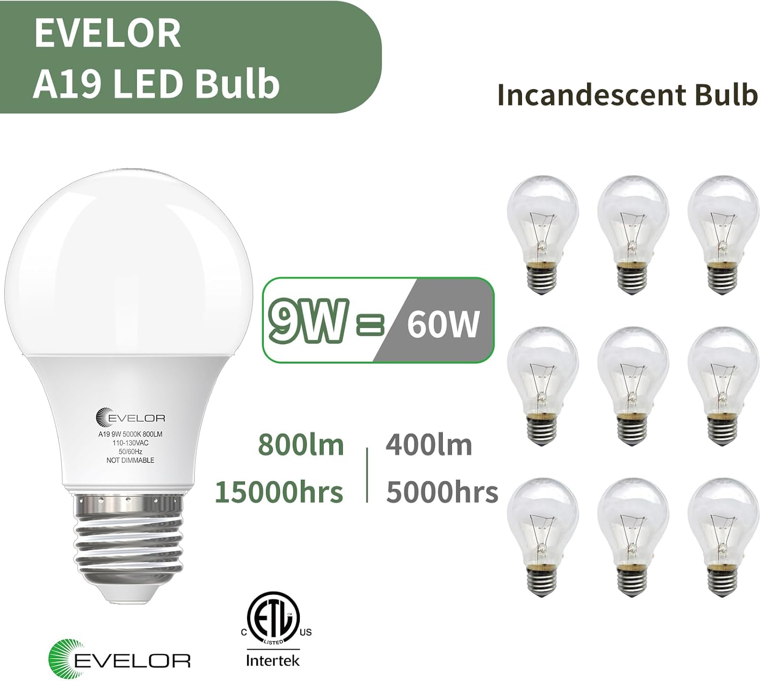 6-Pack A19 LED Light Bulbs,60 Watt Equivalent Daylight 5000K with E26 Base,Efficient 9W,800 Lumens Non-Dimmable LED Bulbs,15000 Hours, Ideal for Bedroom Living Room - Image 3
