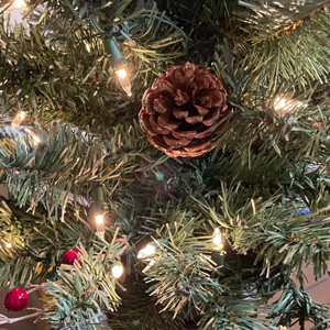 christmas lights outdoor