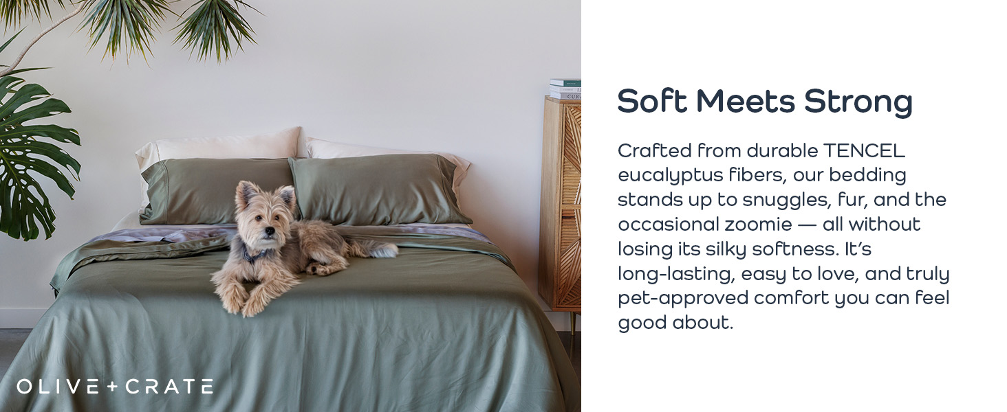 Durable TENCEL bedding resists wear from pets while staying soft, smooth, and easy to care for.