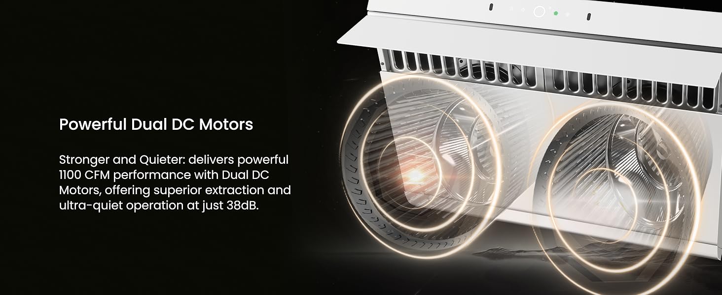 Powerful Dual DC Motors