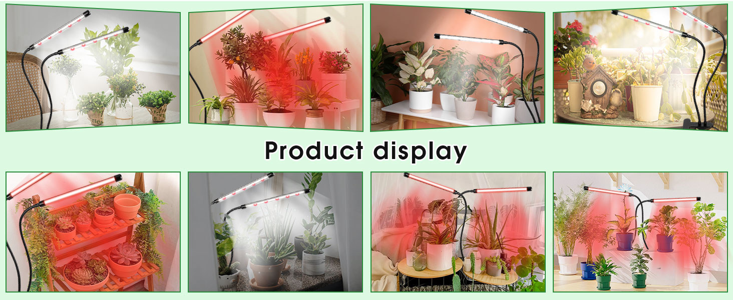 Grow Light