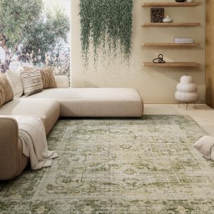 Machine Washable Living Room Rug: 5'x7' Bedroom Area Rug Boho Vintage Large Rugs Stain Resistant Non Slip Low Pile Faux Wool Soft Rug for Dining Room Bedside Kitchen Entryway Nursery Home Office