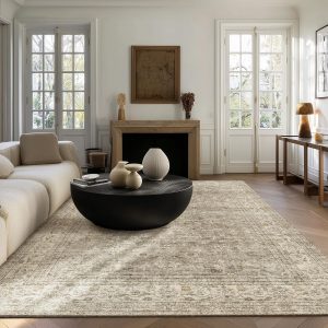 Machine Washable Rugs for Living Room: 5x7 Area Rugs for Bedroom Vintage Stain Resistant Non Slip Low Pile Lightweight Boho Carpet for Kitchen Dining Room Farmhouse Kids Room Nursery