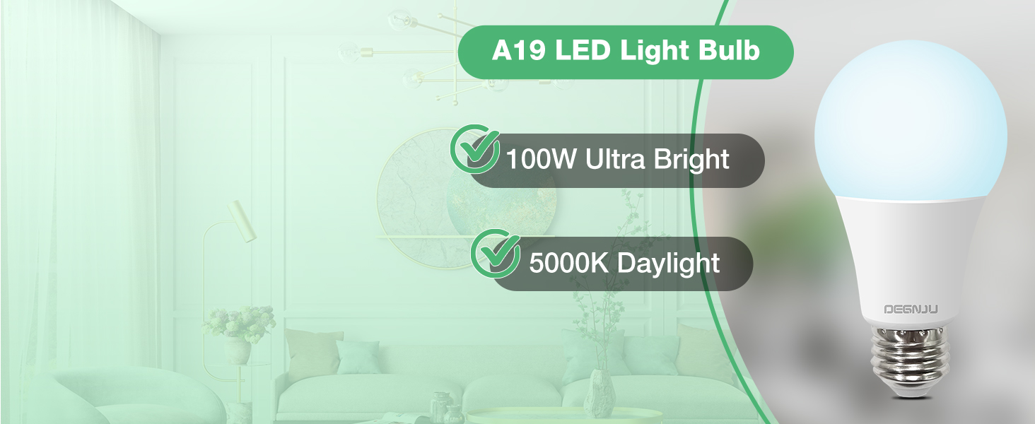 A19 LED Light Bulbs 100W Daylight 5000k cool white