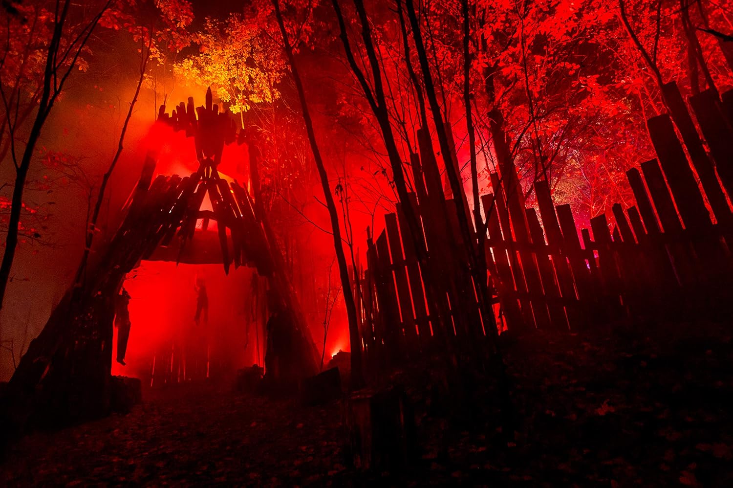 Froggy's Fog Halloween and Party Fog Fluid, High Output Long-Lasting Fog Juice for 400-1500 Watt Water-Based Fog Machines, Great for Pro and Home Haunters, Theatrical Effects, DJs, and More, 1 Quart - Image 8