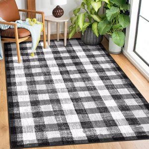 COLORPAPA Checkered Area Rug 3x5, Washable Rugs for Living Room, Modern Neutral Non Slip Indoor Carpet for Bedroom Office Patio Dining Room (Black and White)