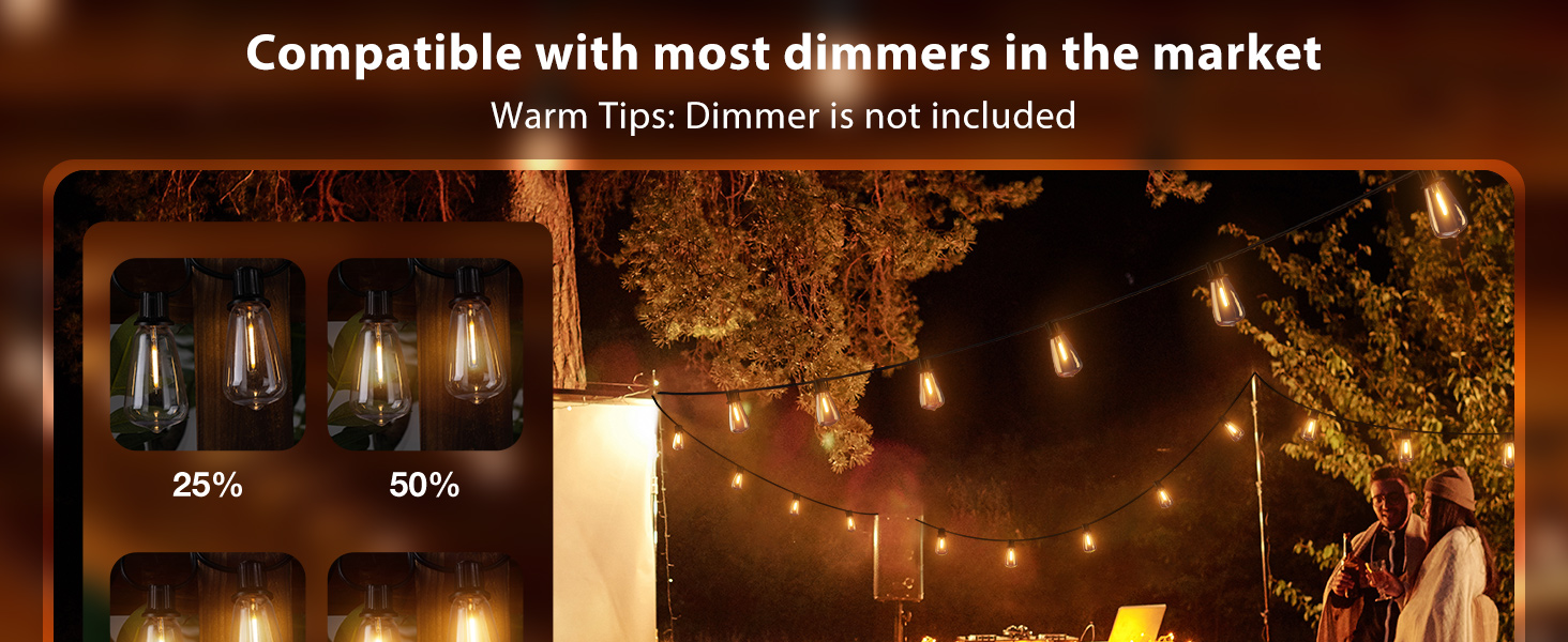 outdoor string lights