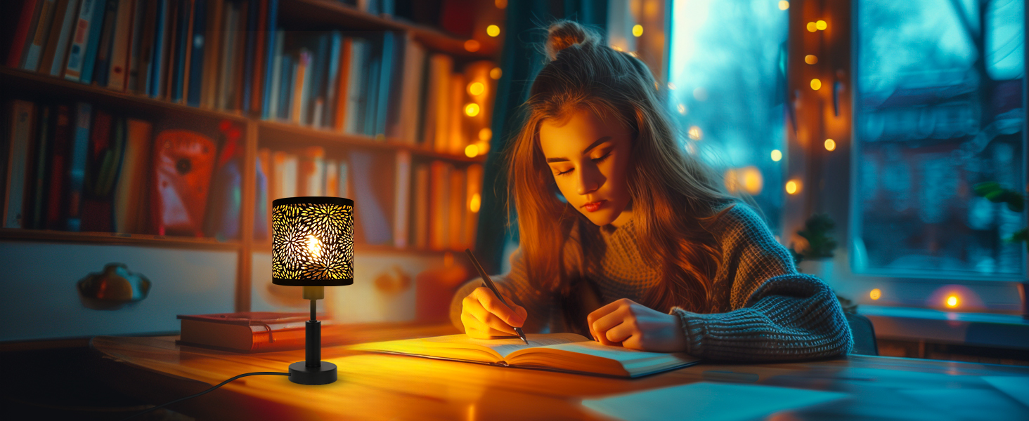 small lamp shades set of 2