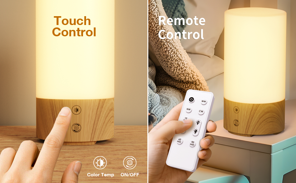 Touch Control and Remote Control