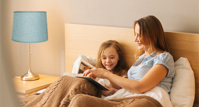 lamp shades set of 2