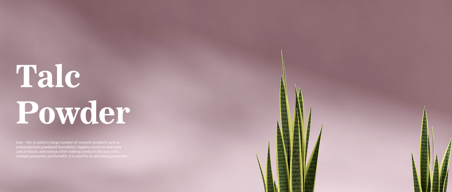 Talc Powder