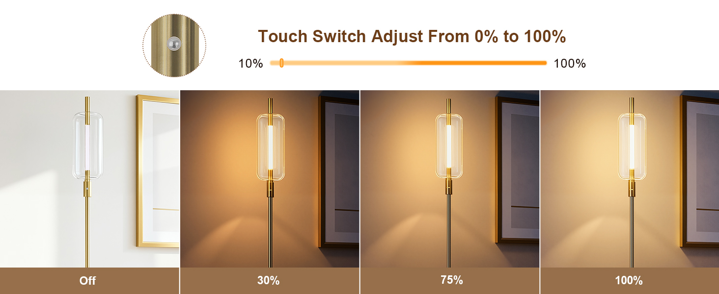 Glass Floor Lamp with Touch Switch (Stepless Dimmable )