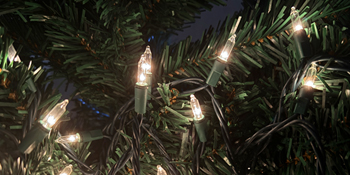 warm white christmas lights