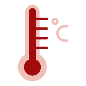 microwave bacon cooker